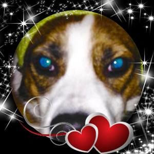 Meet your Posher, Kelli